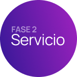 Fase 2: Cumplir las expectativas